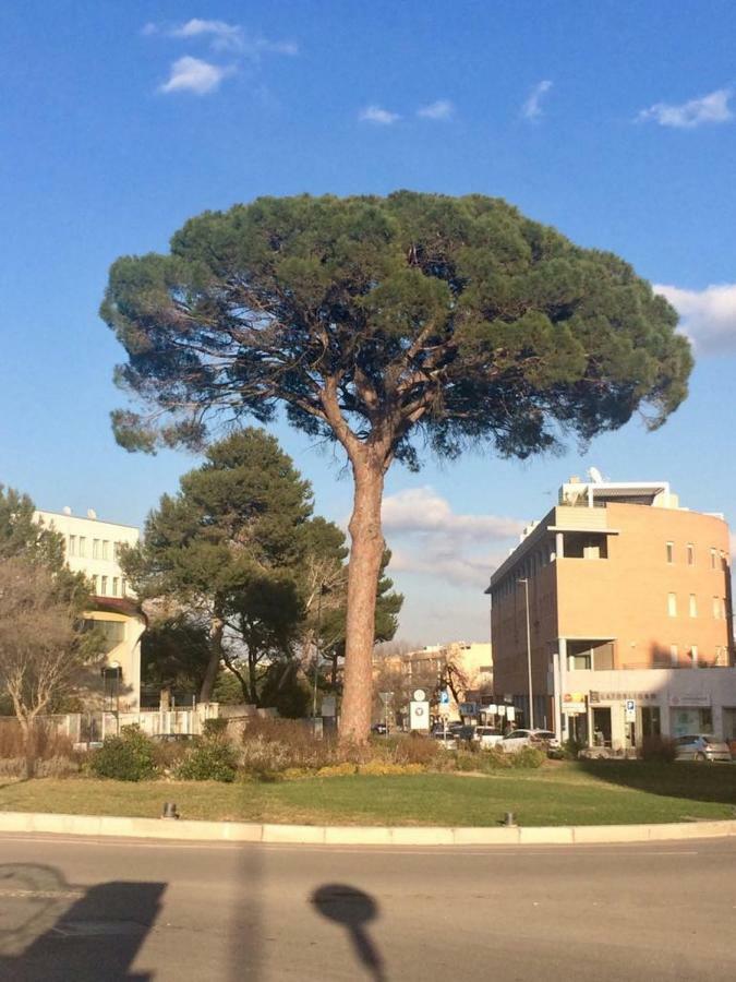 Residence Al Pino Matera Bagian luar foto